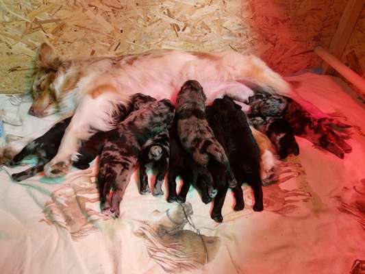 Ungewollte Deckung-Beitrag-Bild