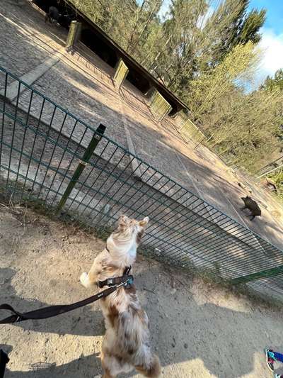 Ratespaß geht weiter-Beitrag-Bild