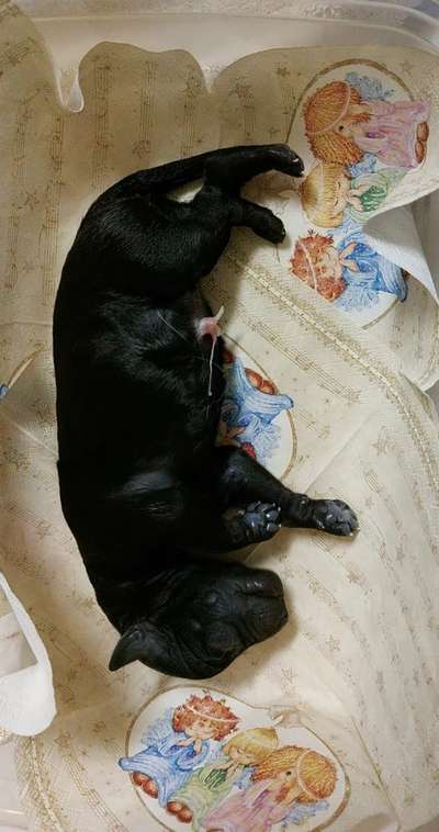 Ungewollte Deckung-Beitrag-Bild