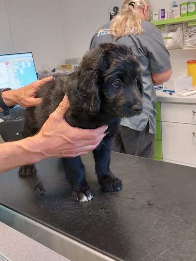 Ungewollte Deckung-Beitrag-Bild