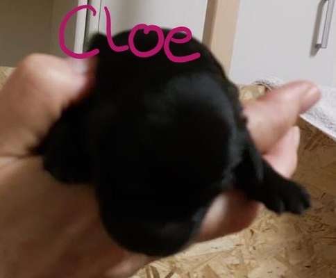 Ungewollte Deckung-Beitrag-Bild