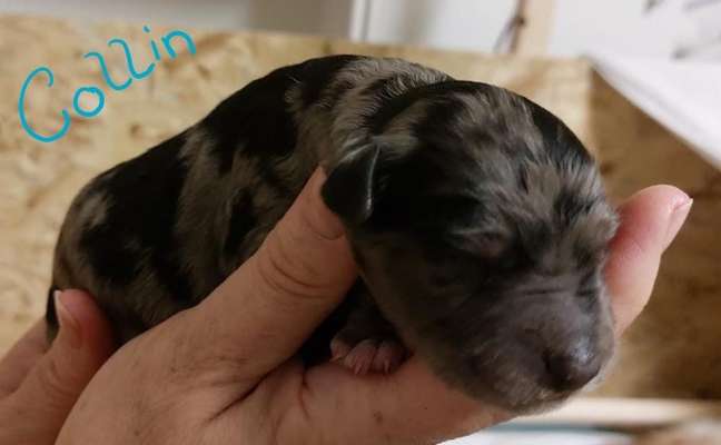 Ungewollte Deckung-Beitrag-Bild