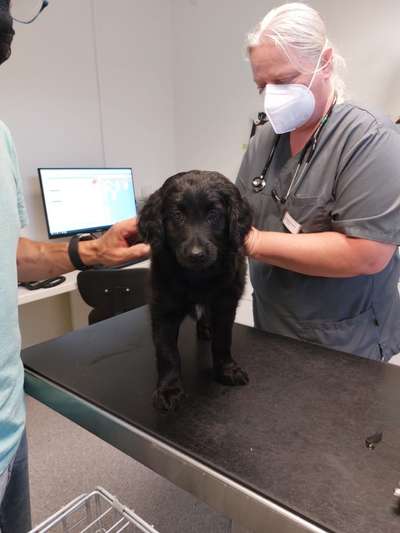 Ungewollte Deckung-Beitrag-Bild