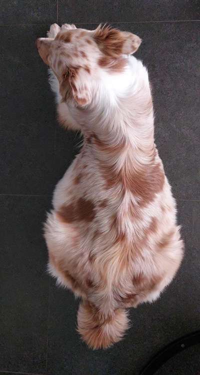 Ungewollte Deckung-Beitrag-Bild