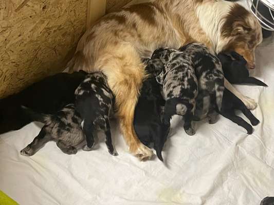 Ungewollte Deckung-Beitrag-Bild