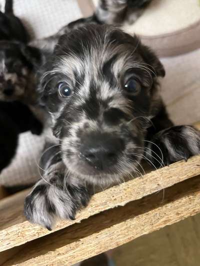 Ungewollte Deckung-Beitrag-Bild