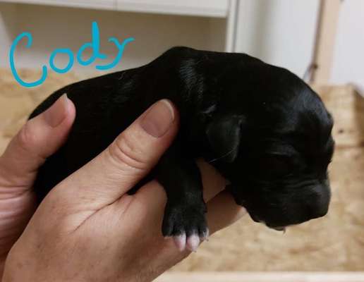 Ungewollte Deckung-Beitrag-Bild