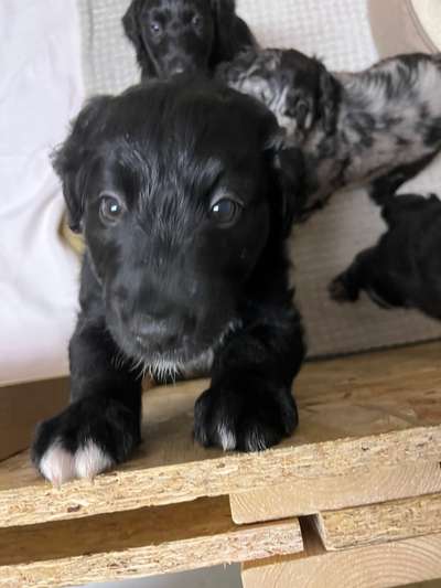 Ungewollte Deckung-Beitrag-Bild