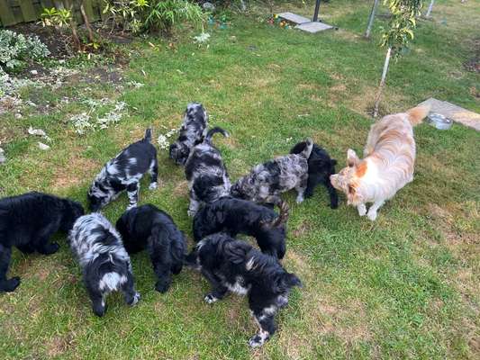 Ungewollte Deckung-Beitrag-Bild