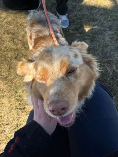 Erstes Bild-Beitrag-Bild