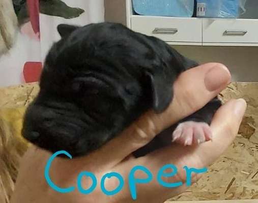 Ungewollte Deckung-Beitrag-Bild