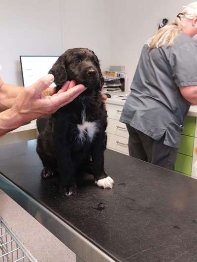 Ungewollte Deckung-Beitrag-Bild