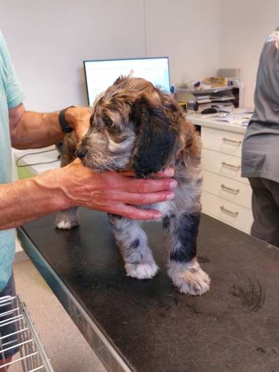 Ungewollte Deckung-Beitrag-Bild