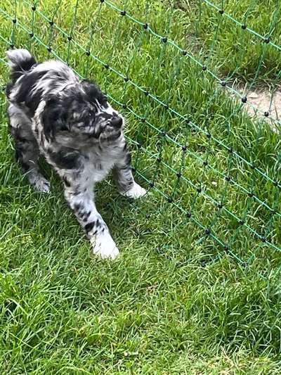 Ungewollte Deckung-Beitrag-Bild