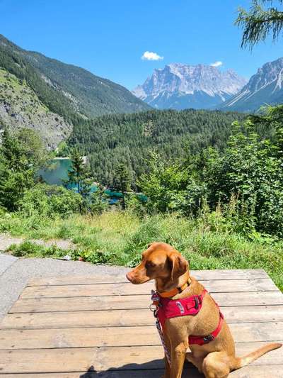 Fotochallenge Nr 107-Beitrag-Bild