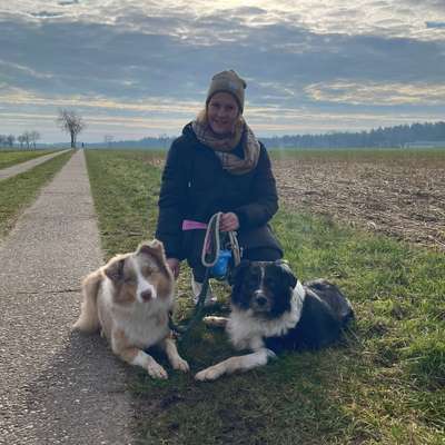 Hundetreffen-Spielen & Quatschen-Profilbild