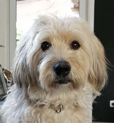 Fotochallange Nr. 57     PORTRÄT.   Beendet!!!!!!!!-Beitrag-Bild