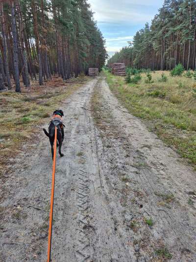 Was hat euch heute gefreut?-Beitrag-Bild