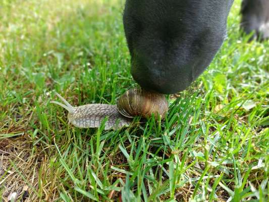 17. Handyfoto – Challenge-Beitrag-Bild