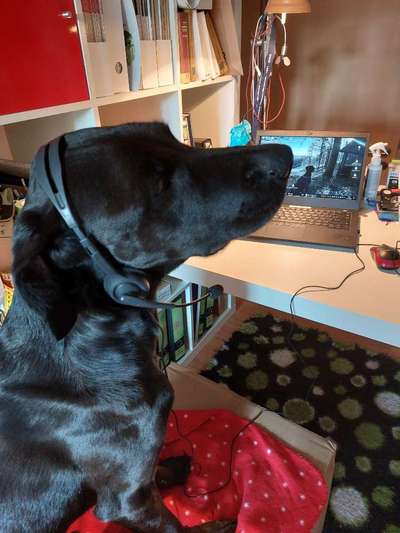 Zeigt her...-Beitrag-Bild