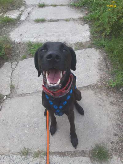 Fotochallenge Nr.105  Glücksmomente-Beitrag-Bild