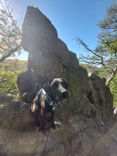 Fotochallenge Nr 107-Beitrag-Bild