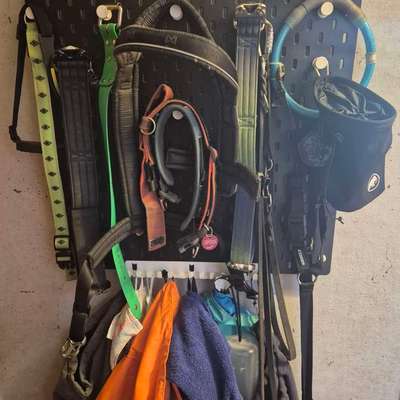 Zeigt her eure Gassi-Stationen =)-Beitrag-Bild