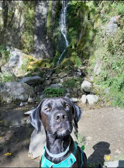 Dogorama Photo Challenge - Wasserfall-Beitrag-Bild