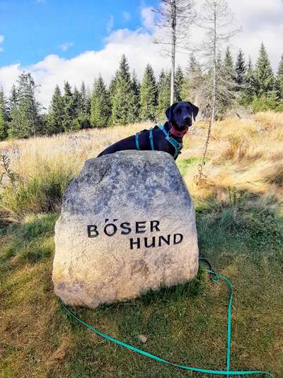 Dogorama Photo Challenge - Steine/Felsen-Beitrag-Bild