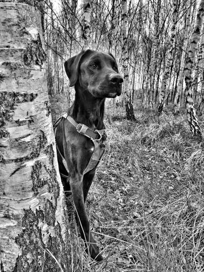 Foto-Challenge 76: Foto in Schwarz-Weiss-Beitrag-Bild