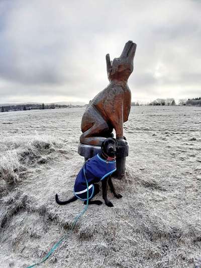 Dogorama Photo Challenge - Dein Hund mit Statuen/Figuren-Beitrag-Bild