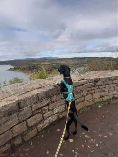 Dogorama Foto Challenge - Wanderziel-Beitrag-Bild