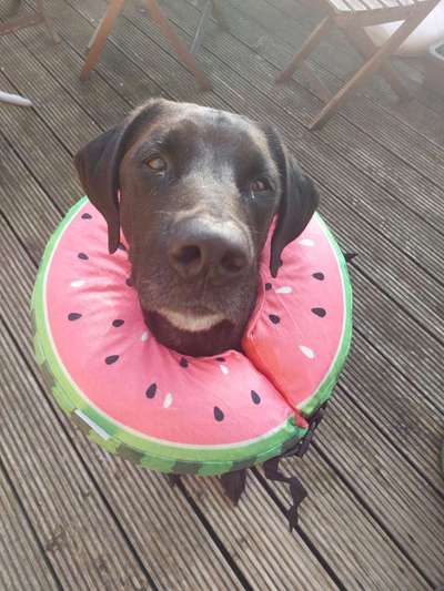 Zitate aus Film und Fernsehen-Beitrag-Bild