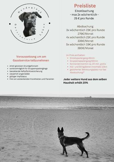 %{de_profession_title}-Hundeglück Gassiservice Löhne-Bild