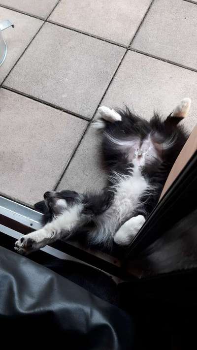 Foto Challenge - Zeigt her eure Bäuche-Beitrag-Bild