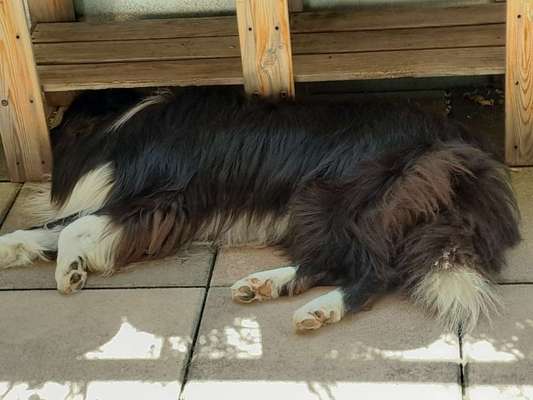 Warum immer Abends???-Beitrag-Bild