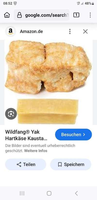 Komisches Ding im Kot-Beitrag-Bild