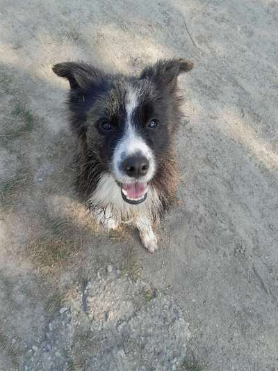 28. Farben Foto Challenge * BEIGE *-Beitrag-Bild