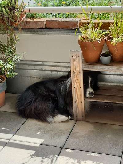 Warum immer Abends???-Beitrag-Bild