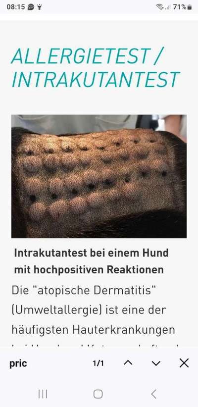 Massives putzen und kratzen-Beitrag-Bild