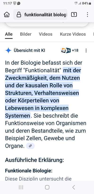 "Notfall"-Reaktion bei Leinenreaktivität-Beitrag-Bild