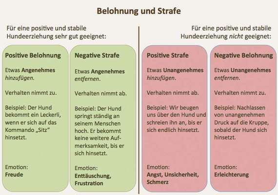 Immer erst noch Gucken...-Beitrag-Bild