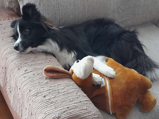 25. Farben Fotochallenge ,,Bernstein"-Beitrag-Bild