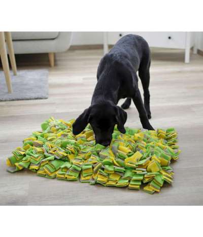 Mein hund steht immer unter Stress-Beitrag-Bild