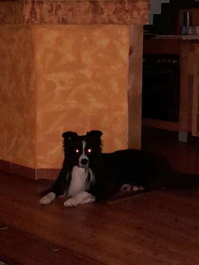 Warum immer Abends???-Beitrag-Bild