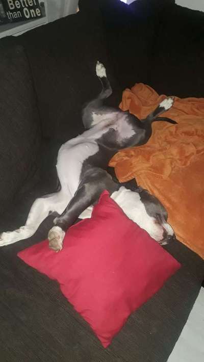 Die unbequemsten und lustigsten Schlafpositionen-Beitrag-Bild