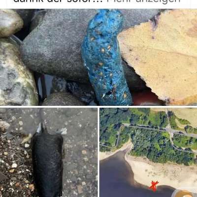 Giftköder-Achtung Giftköder auf der Hundewiese Westhoven -Bild