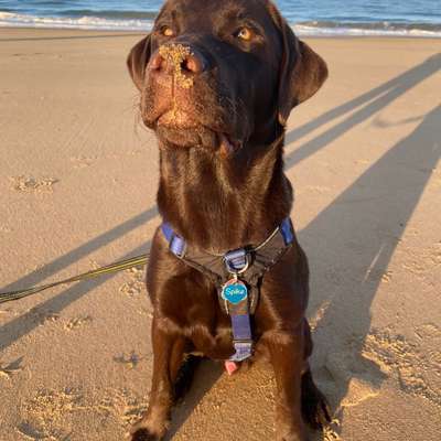 Franziska's Profilbild