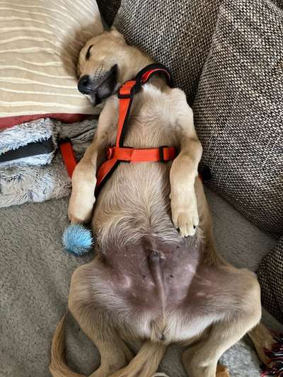 CHALLENGE NR. 34 - Liege-/Schlafpositionen-Beitrag-Bild