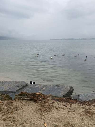 80. Foto  Challenge - Versteckt/ in einer Höhle-Beitrag-Bild